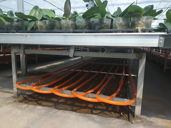 農(nóng)業(yè)種植、養(yǎng)殖地源熱泵供暖系統(tǒng)